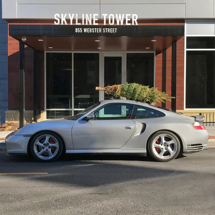 Monkey Bars - Image 7